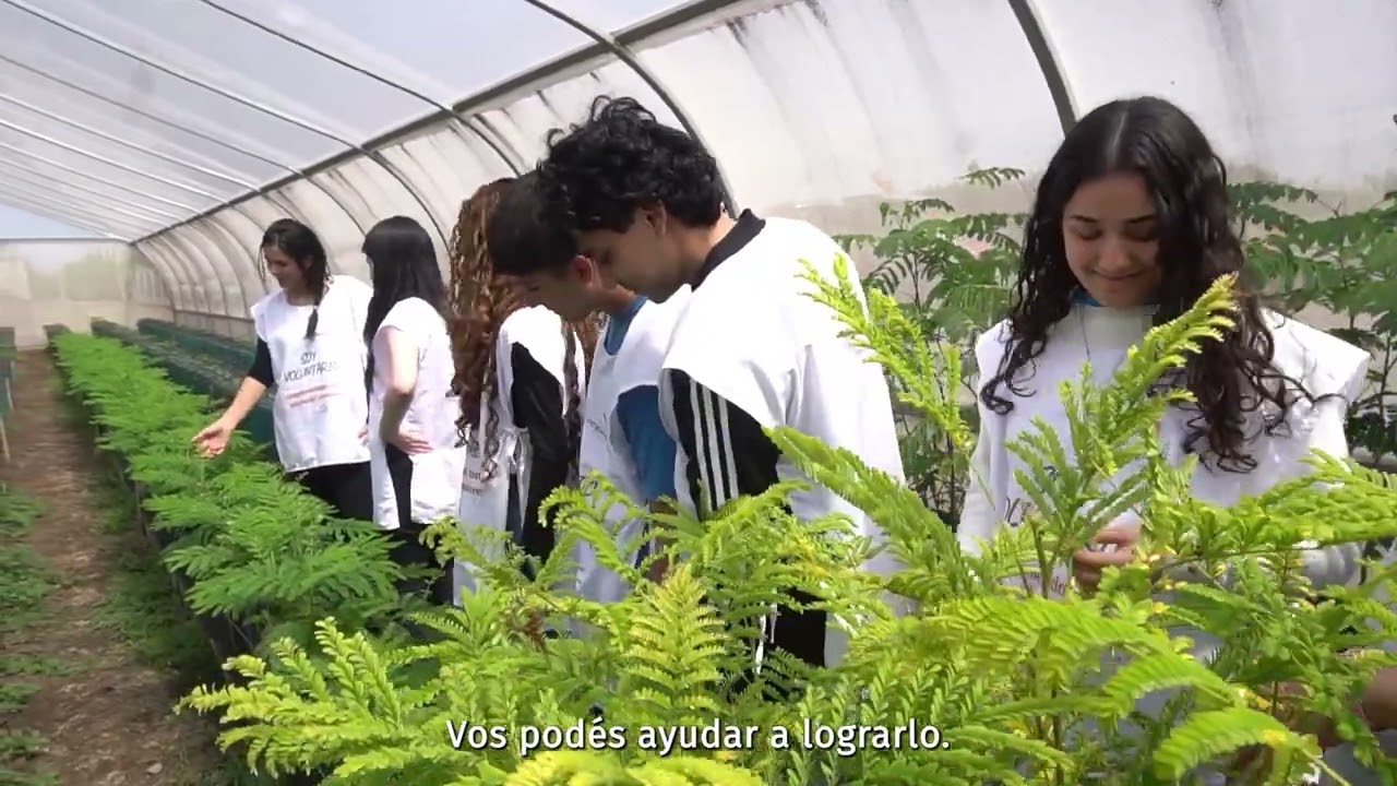 Programa Sembrando Vida - Fundación Vicente Lucci