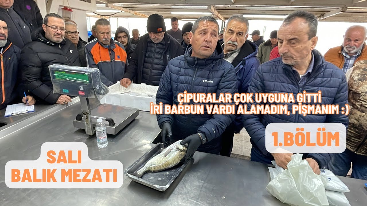 20.02.2024 Perakende mezatı, İri barbun ve çipuralar damgasını vurdu bugüne #balık #mezat #keşfet