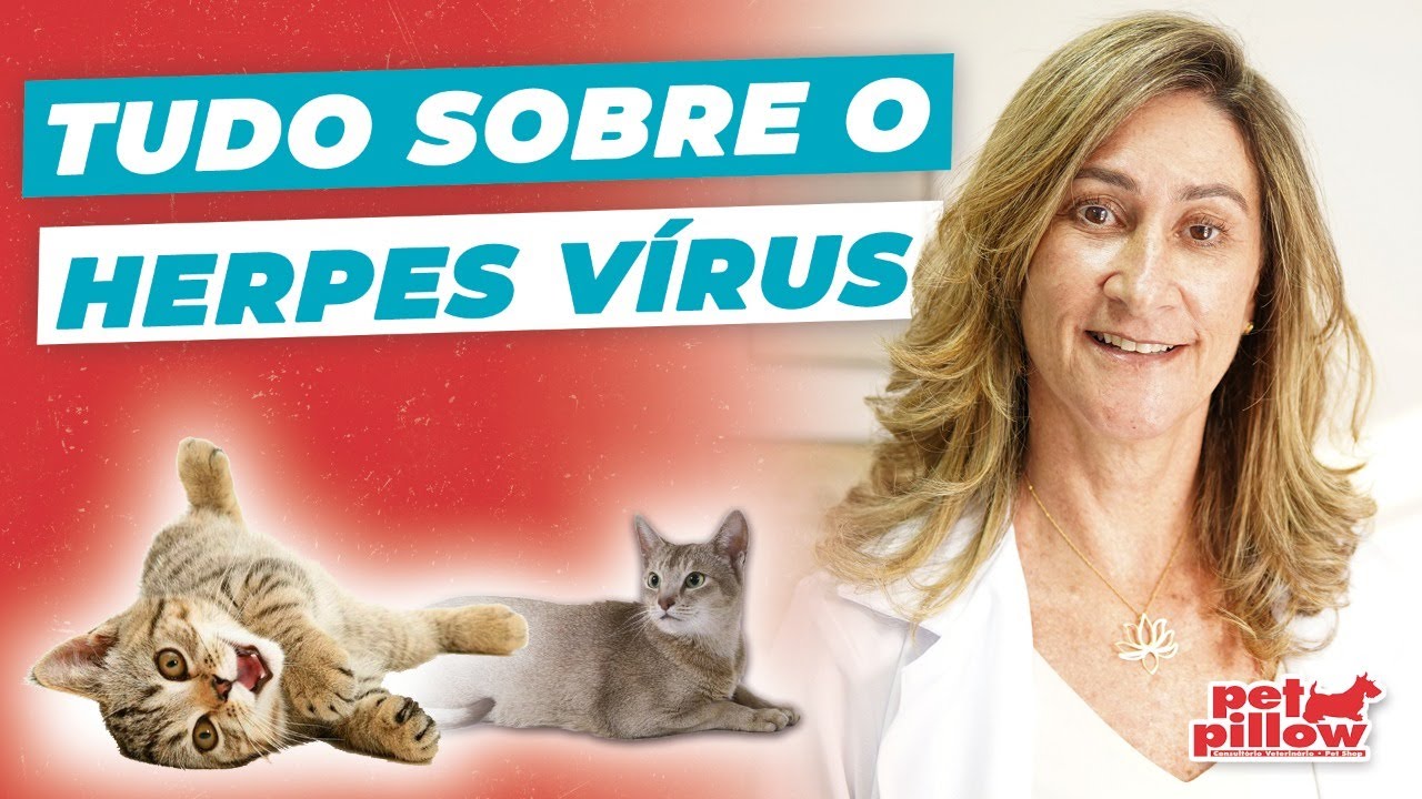 Problemas oculares e gripe em gatos: saiba como tratar | Dra. Michele Sandrault