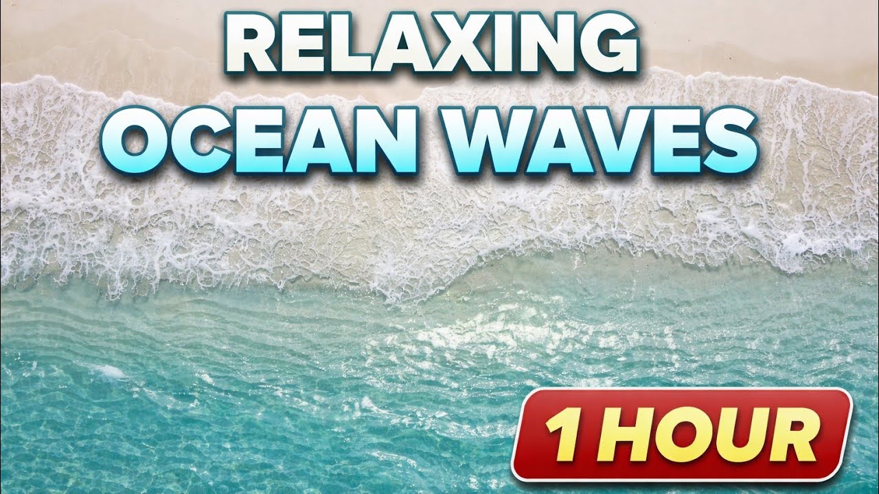 Relaxing Ocean Waves 🌊 1 Hour | Natural Sea Sounds for Sleep & Meditation