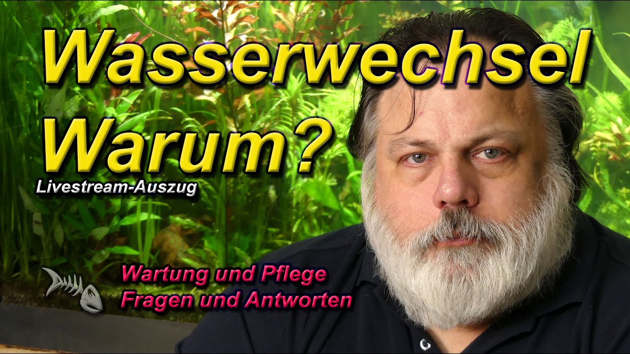 Wasserwechsel - Warum, wenn die Reduzierung der Keimdichte nicht wirklich funktioniert?