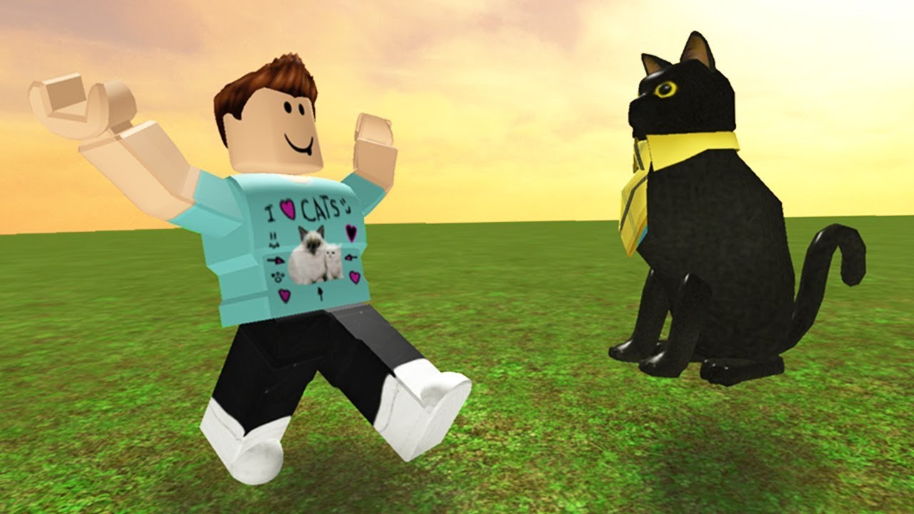 HOW SIR MEOWS A LOT MET DENIS!