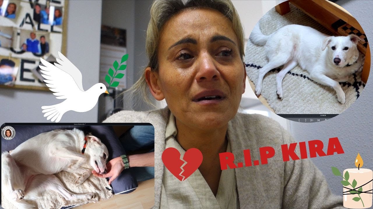 Покойся с миром, Кира 🕊 Она ушла из жизни 😥 Мы так сильно скучаем по тебе 💔