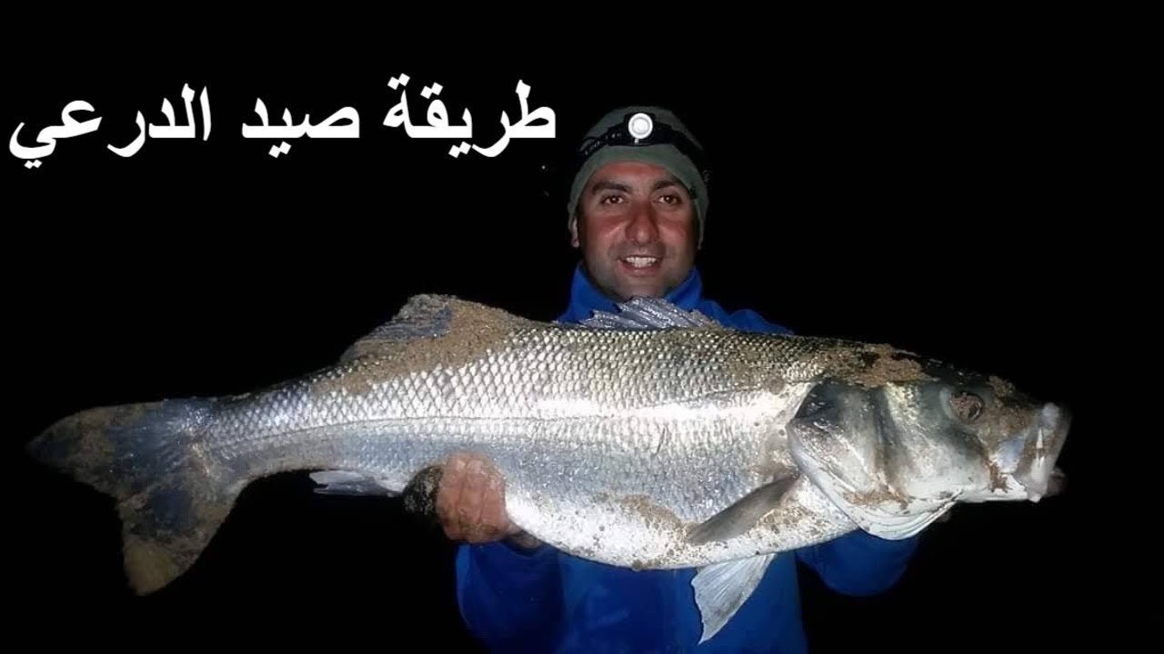 مونطاج لصيد الدرعي بتقنية السورفكستينك  Mehdisurfcasting