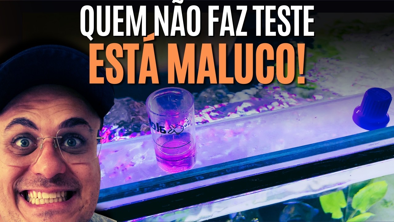 FAZENDO TESTES EM AQUÁRIO DE CICLÍDEOS AFRICANOS