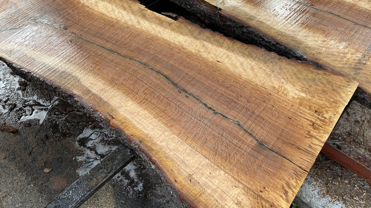 LIVE oak log stops my sawmill DEAD in its track