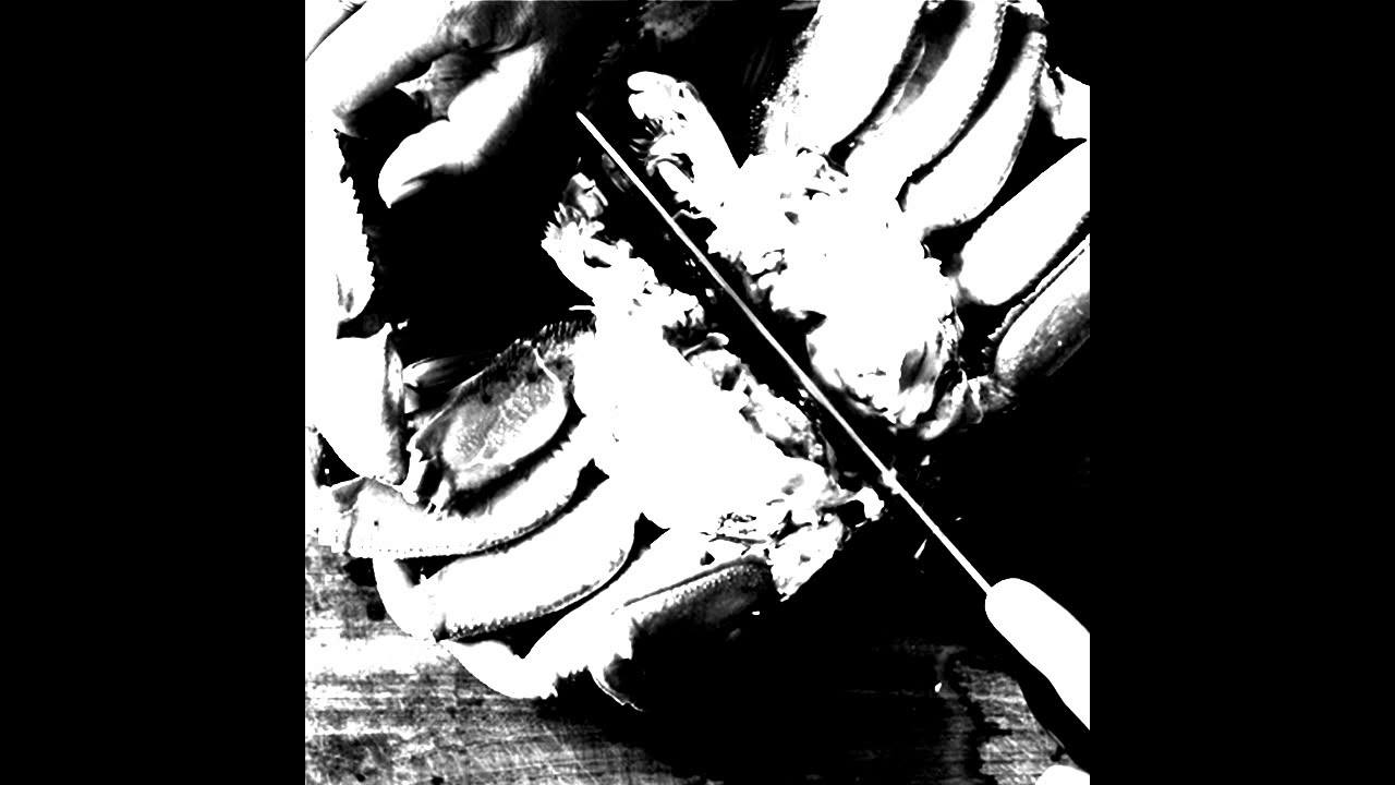 BARC - Self Split [2019 Powerviolence / Grindnoise]