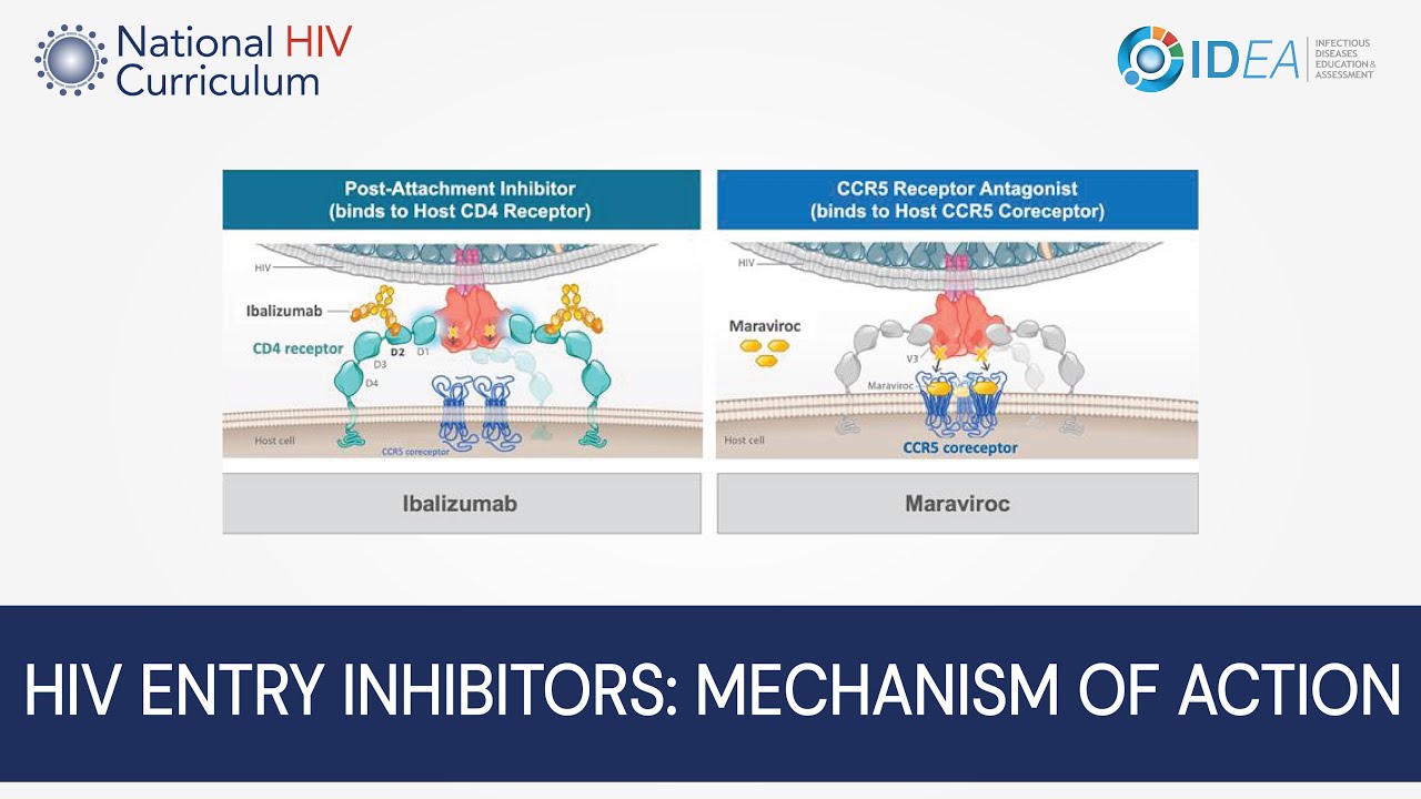 Mini-Lecture Series: HIV Entry Inhibitors: Mechanism of Action