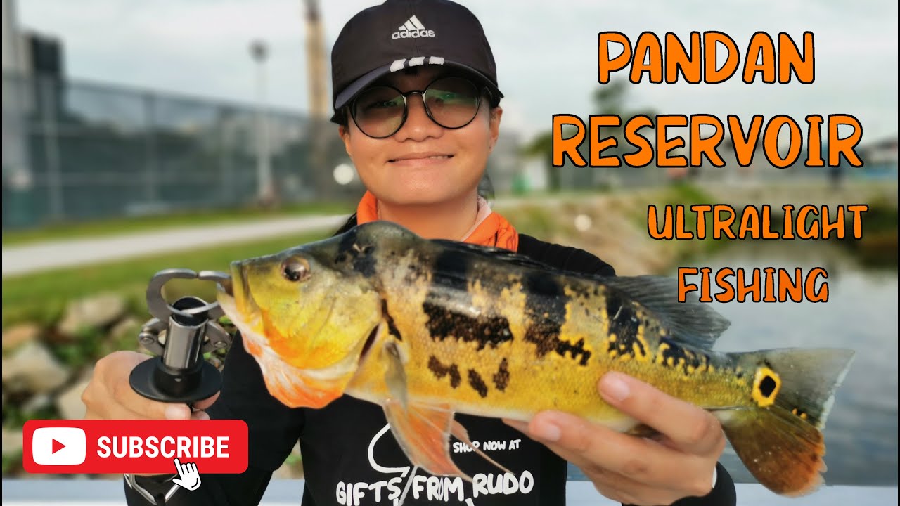 Fishing for PEACOCK BASS on Ultralight Setup PANDAN RESERVOIR #fishinginsingapore #ultralightfishing