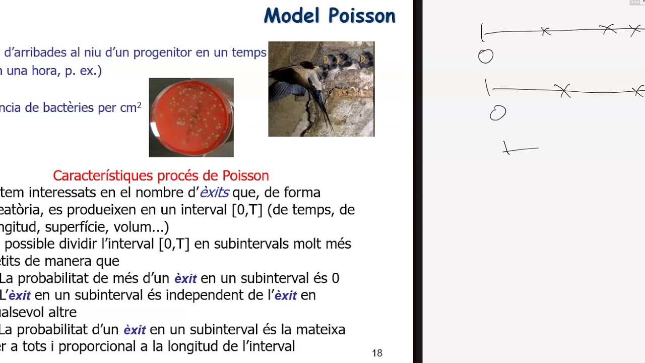 El model de Poisson