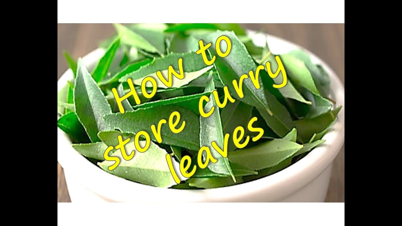 How to store | freeze  Curry Leaves | RinkusRasoi
