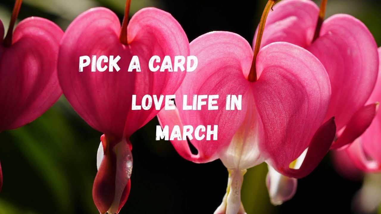 Pick a card. Love Life in March