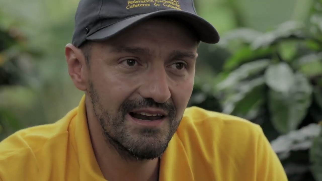 Las Aventuras del Profesor Yarumo, Procesamiento del Café en Colombia