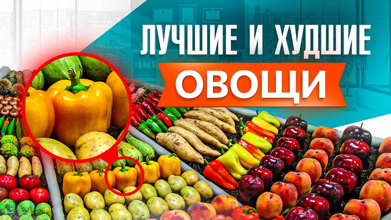 ТОП 10 самых полезных овощей на каждый день от нутрициолога
