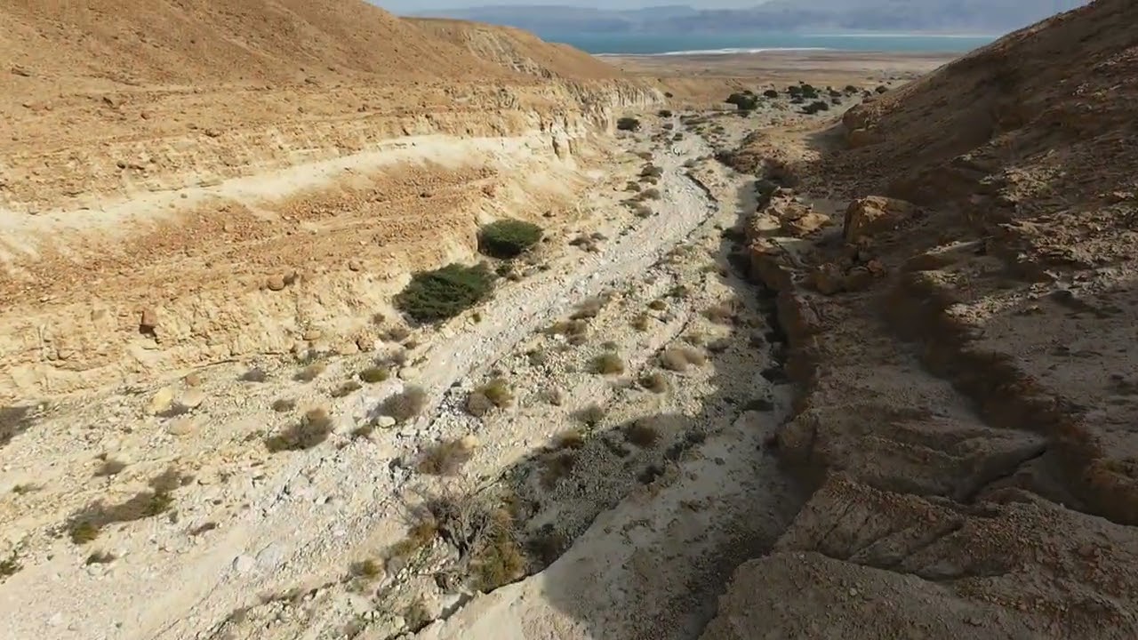 מחקר בנחל משמר, Nahal Mishmar (21.01.2026)