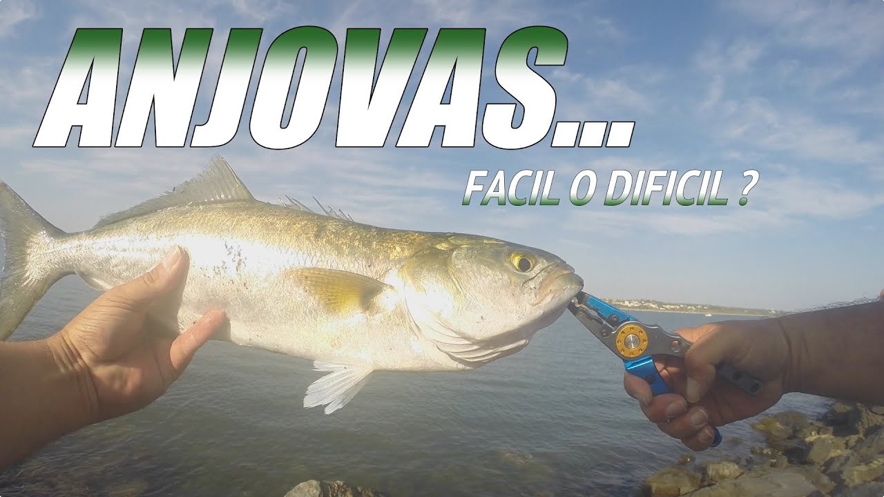 𝘼𝙉𝙅𝙊𝙑𝘼𝙎 𝙖🎣𝙎𝙋𝙄𝙉𝙉𝙄𝙉𝙂 🎣 ¿🤔𝙁𝘼𝘾𝙄𝙇 𝙤 𝘿𝙄𝙁𝙄𝘾𝙄𝙇🤔 ?