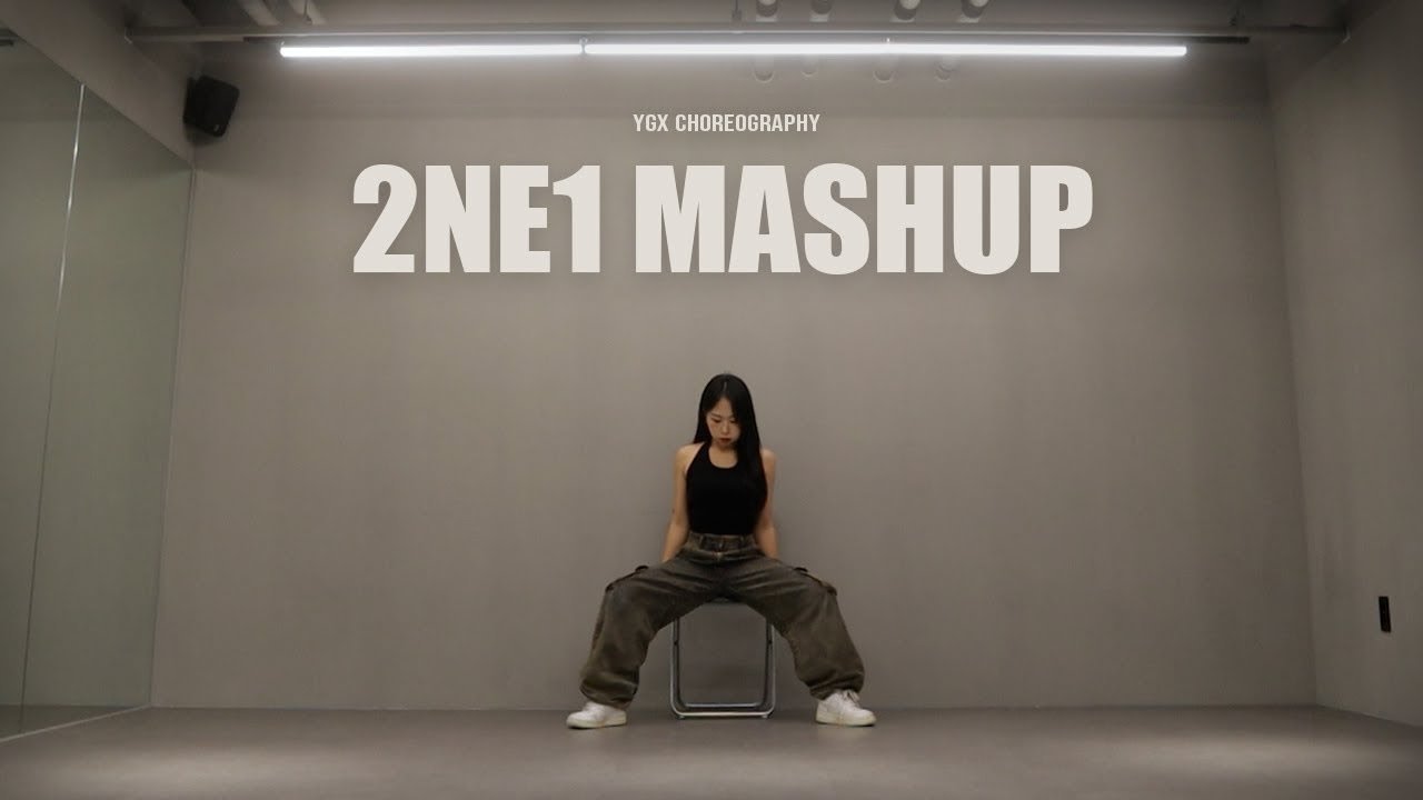 [ '2NE1 Mash Up' 안무 거울모드 MIRRORED | 커버댄스 DANCECOVER | 1인안무 ]