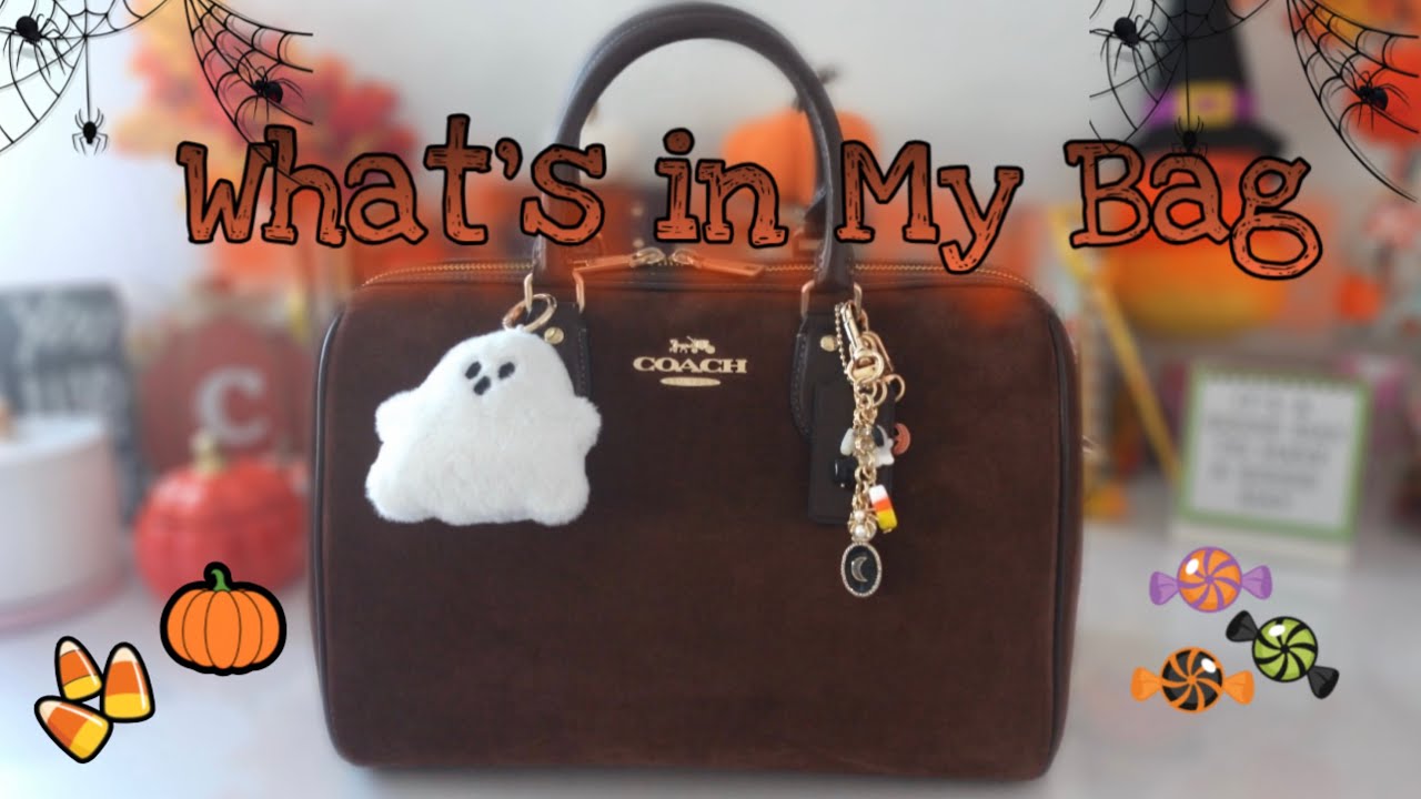 Что входит в комплект My Coach Large Brown Suede Rowan 👻🎃 и мини-обзор 🌙🍬🕷️