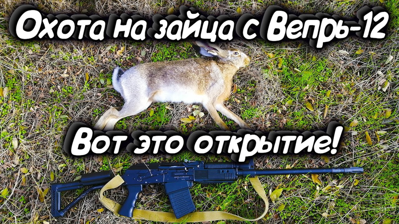 Охота на зайца 2020. ВОТ ЭТО ОТКРЫТИЕ! Охота с Вепрь-12. Открытие охоты на зайца.