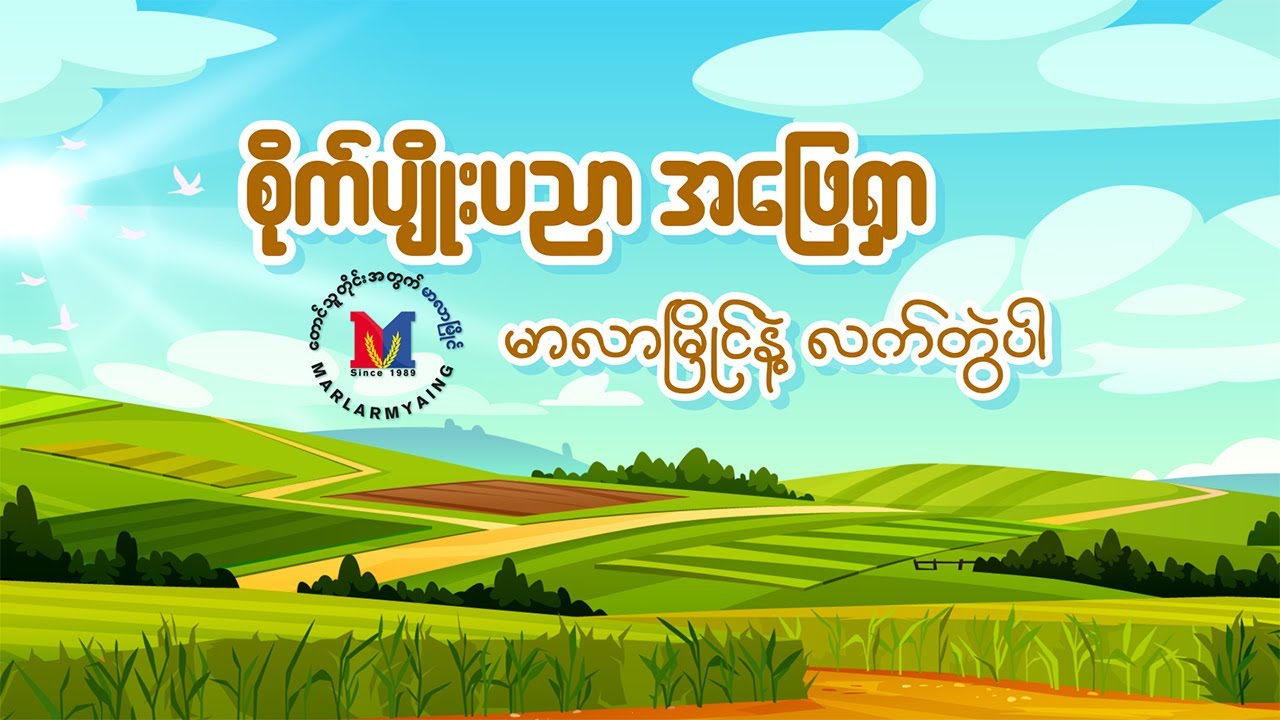 စပါးခင်းနှင့် ဖြုတ်ပိုးများ