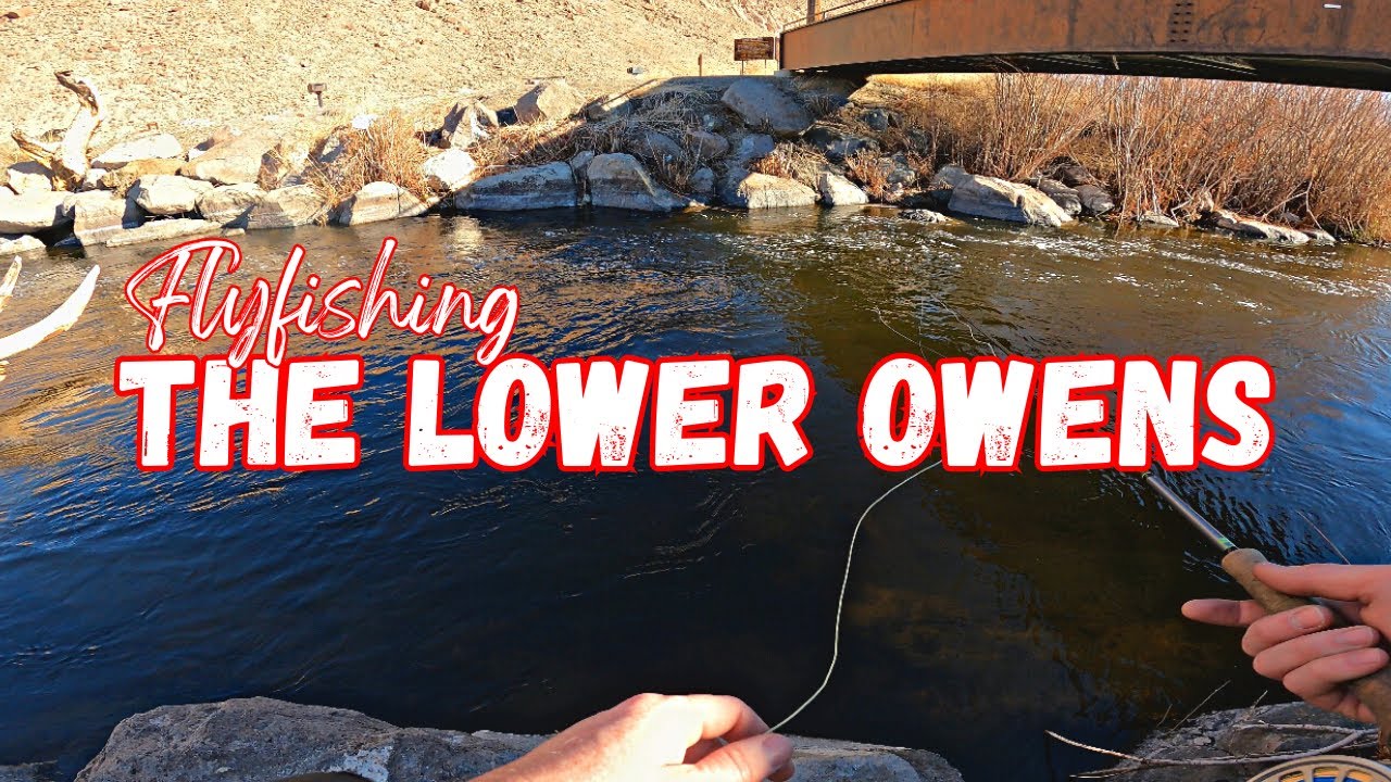 FLY FISHING The Lower Owens River [Bishop, CA]
