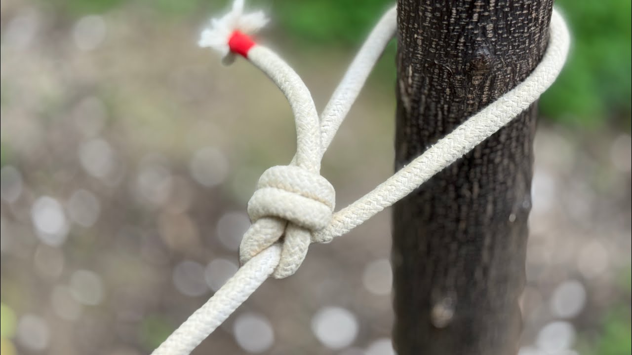 3 Strongest Knots Around The Tree Step By Step Tutorial ! 