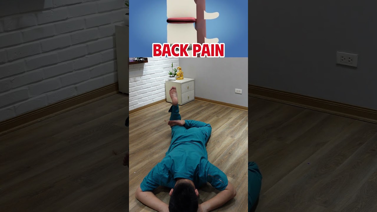 BACK PAIN RELIEF EXERCISE #physiotherapist #chiropractic #shorts #short