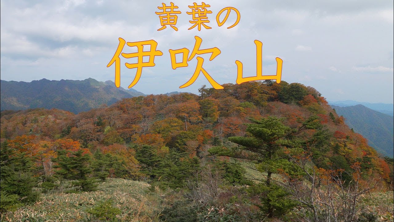 【登山】黄葉の伊吹山　2025年11月2日（高知県/愛媛県）【登山　高知】【登山　四国】