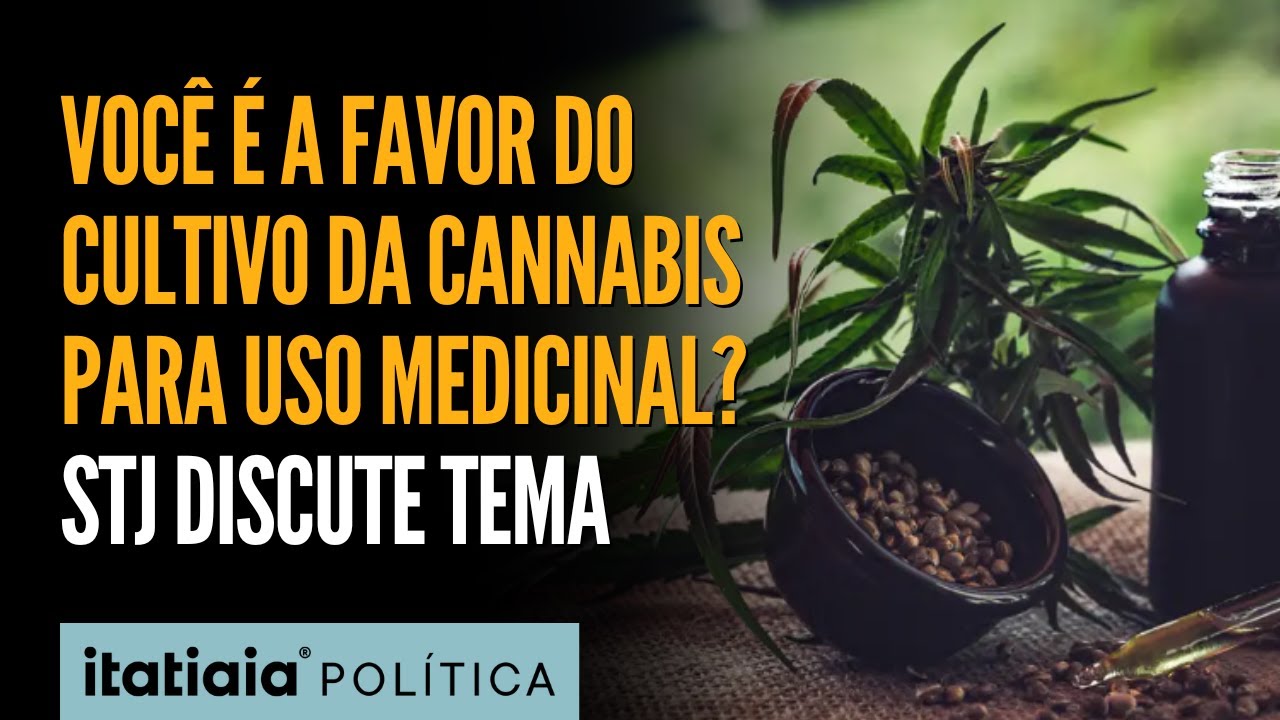 AUTORIZAÇÃO DE CULTIVO DA CANNABIS  PARA USO MEDICINAL É DISCUTIDO POR STJ. ENTENDA