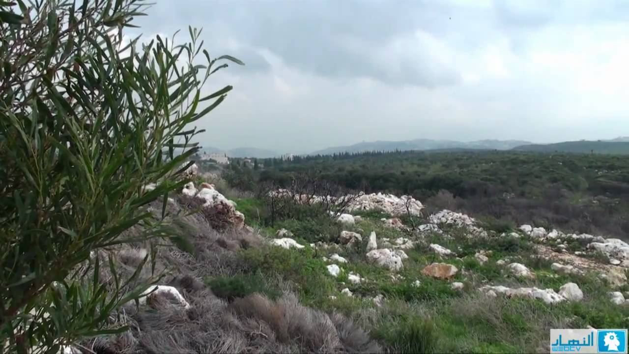 North Lebanon | شمال لبنان