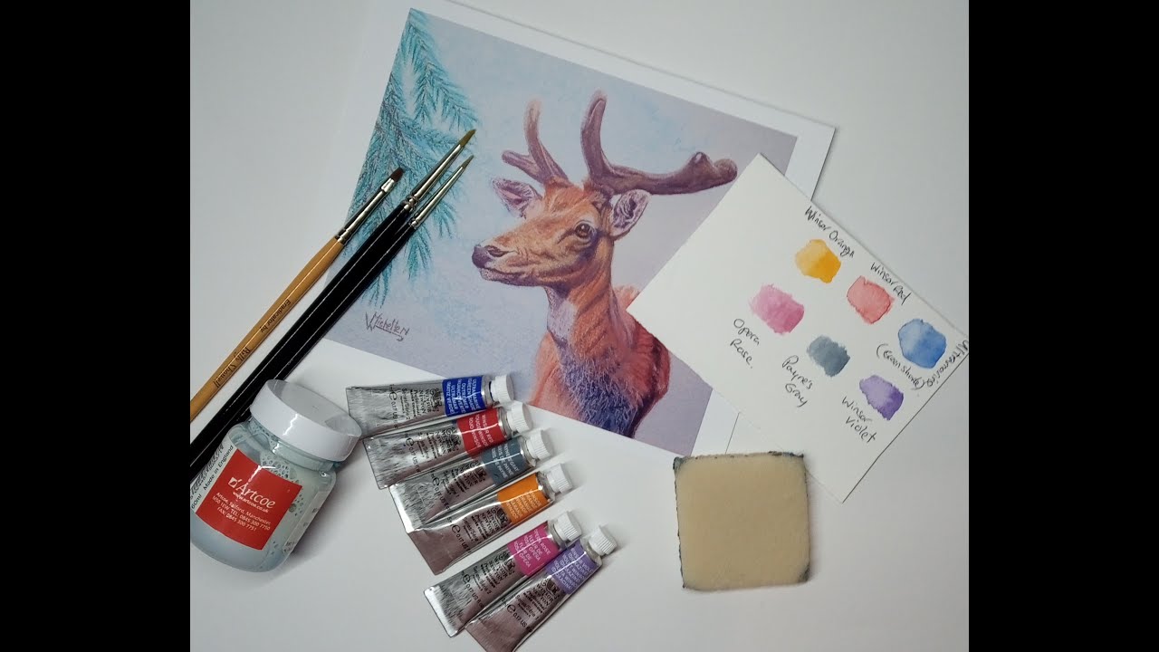 Painting a Stag in watercolor and pastels