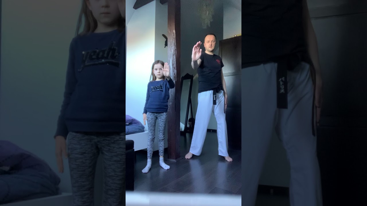 Séance de karaté confiné n°3 / Shuto Uke & Kokutsu