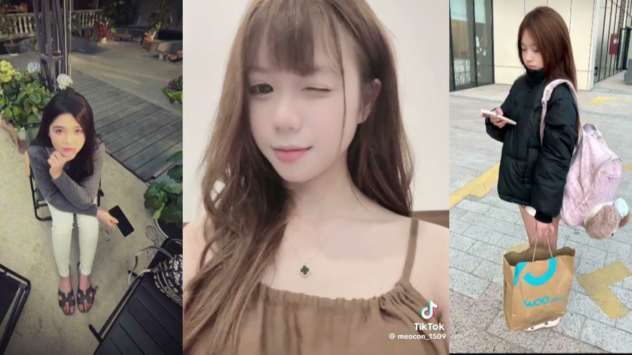 Tổng hợp các video tiktok🍁