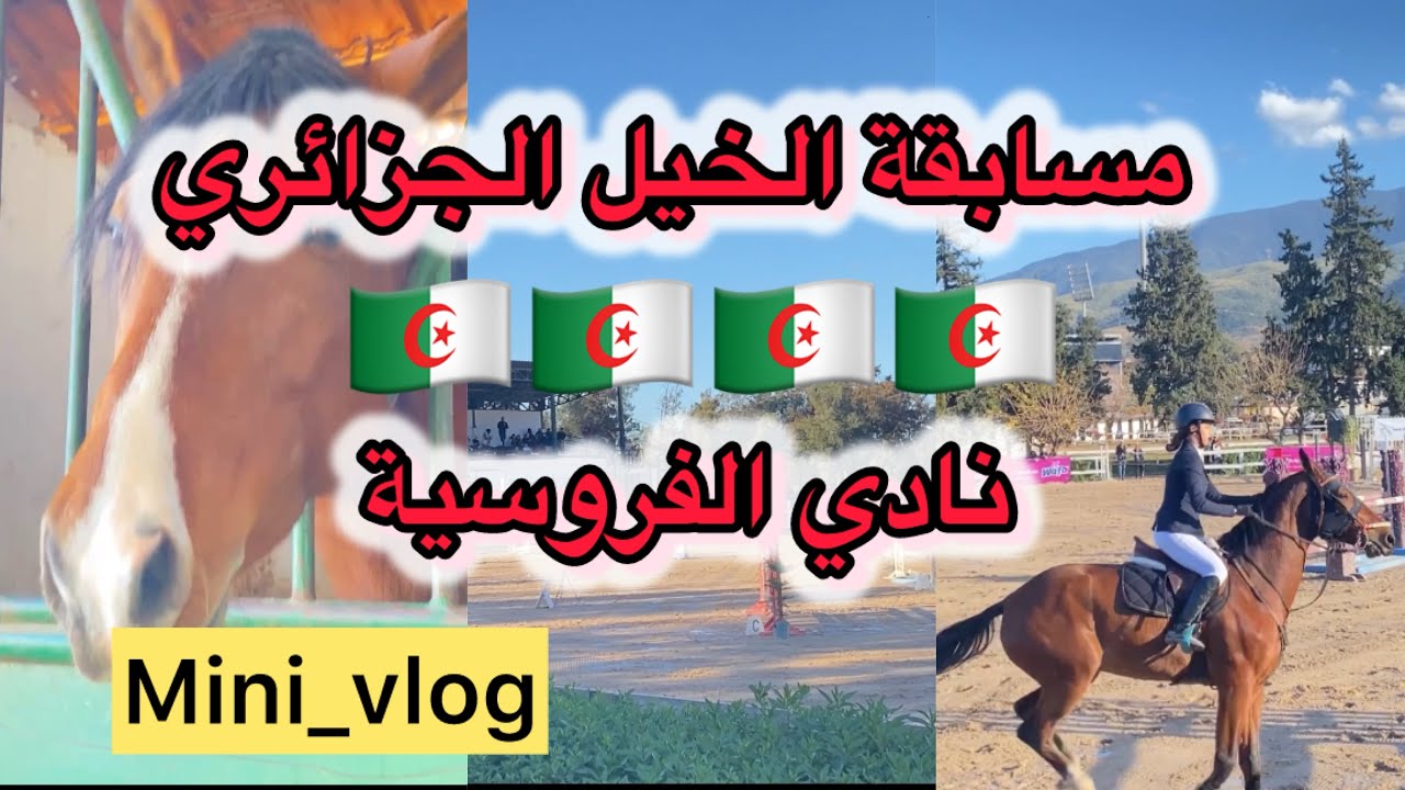مسابقة وطنية للفارس و الخيل الجزائري 🐎