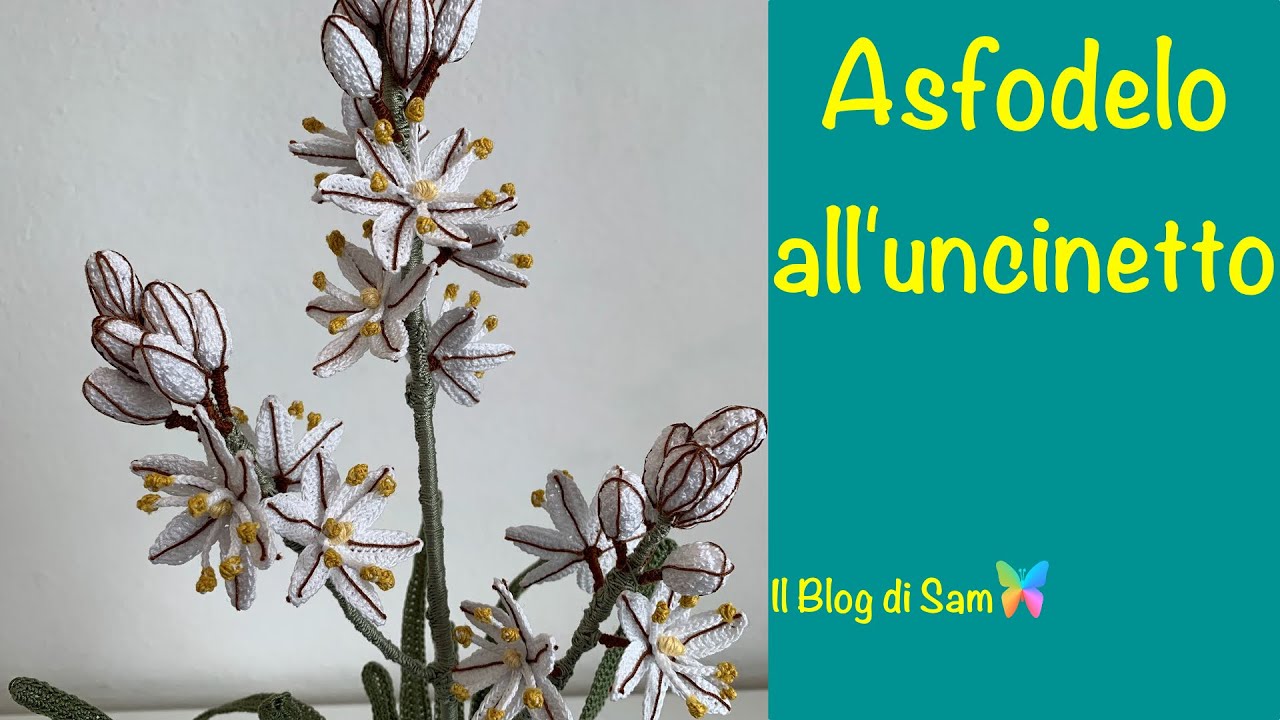 Spiegazione dell'Asfodelo all'uncinetto