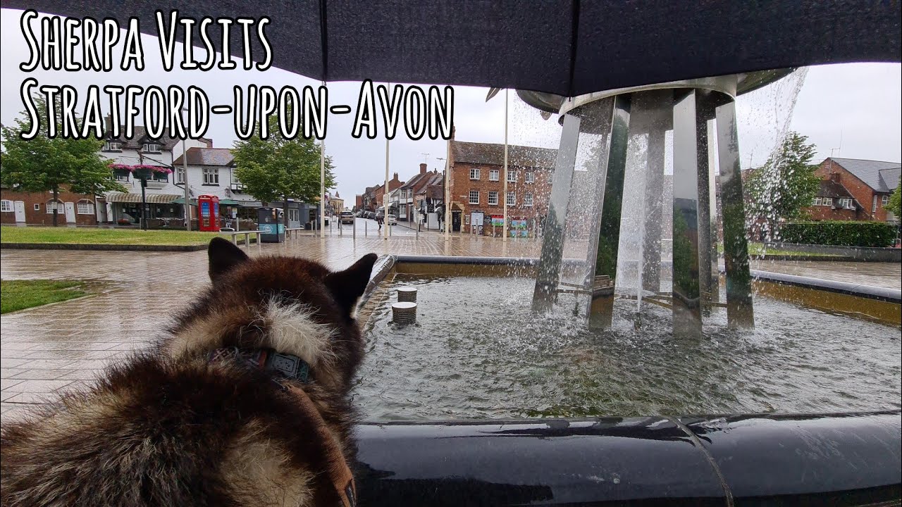 Sherpa visits Stratford Upon Avon Pt1