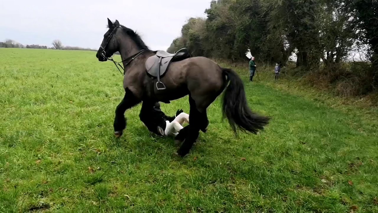 Equestrian fox hunting in Ireland with the Suir Vale Harriers Hunt Clonmore Jan 2020