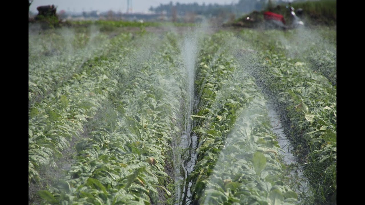 San-Fu Irrigation System Installation-H.Y Spray Tube