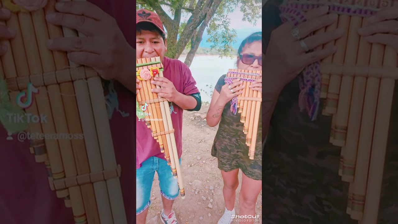 Danza de los sikus