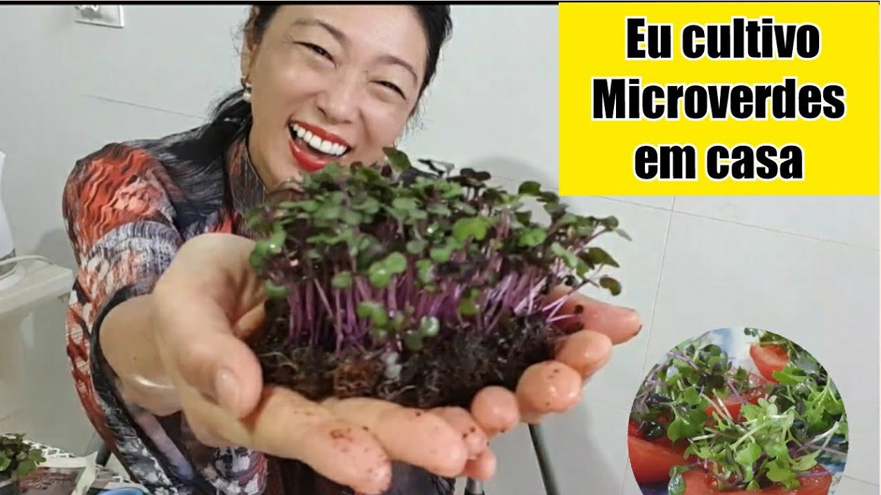 Como cultivar Brotos Microverdes em casa É FACIL! É DELICIOSO! É NUTRITIVO!