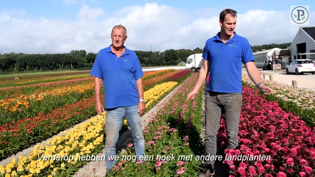 Meet the Grower Vaste planten kwekerij G.H. Bol en Zoon
