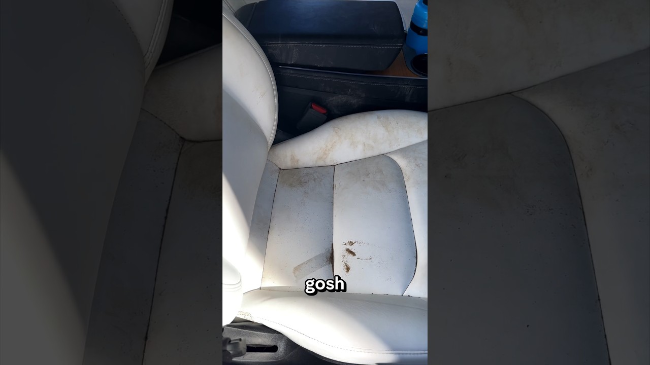 Quick & Easy Cleaning for White Tesla Seats!
