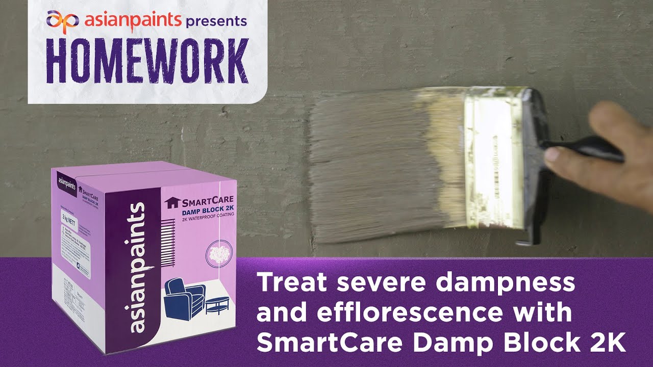 SmartCare Damp Block 2K: A Solution for Wall Dampness & Efflorescence | Homework by Asian Paints