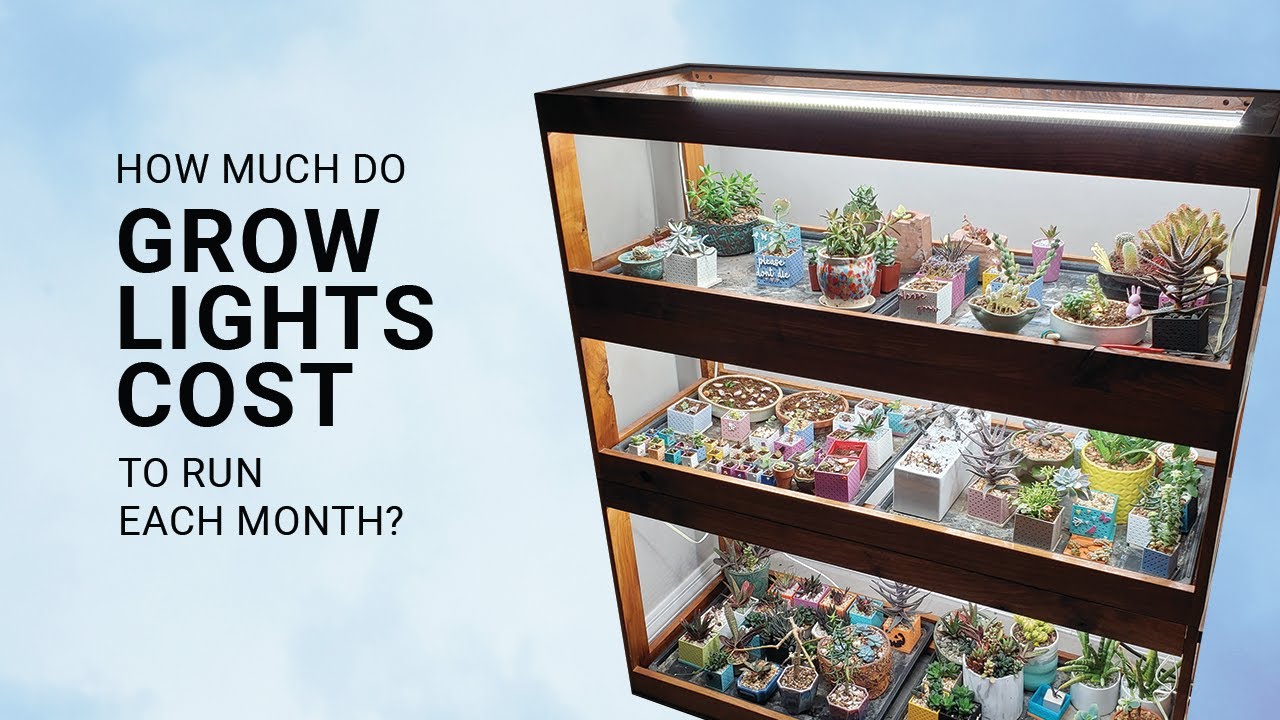 How much does it cost to run grow lights?