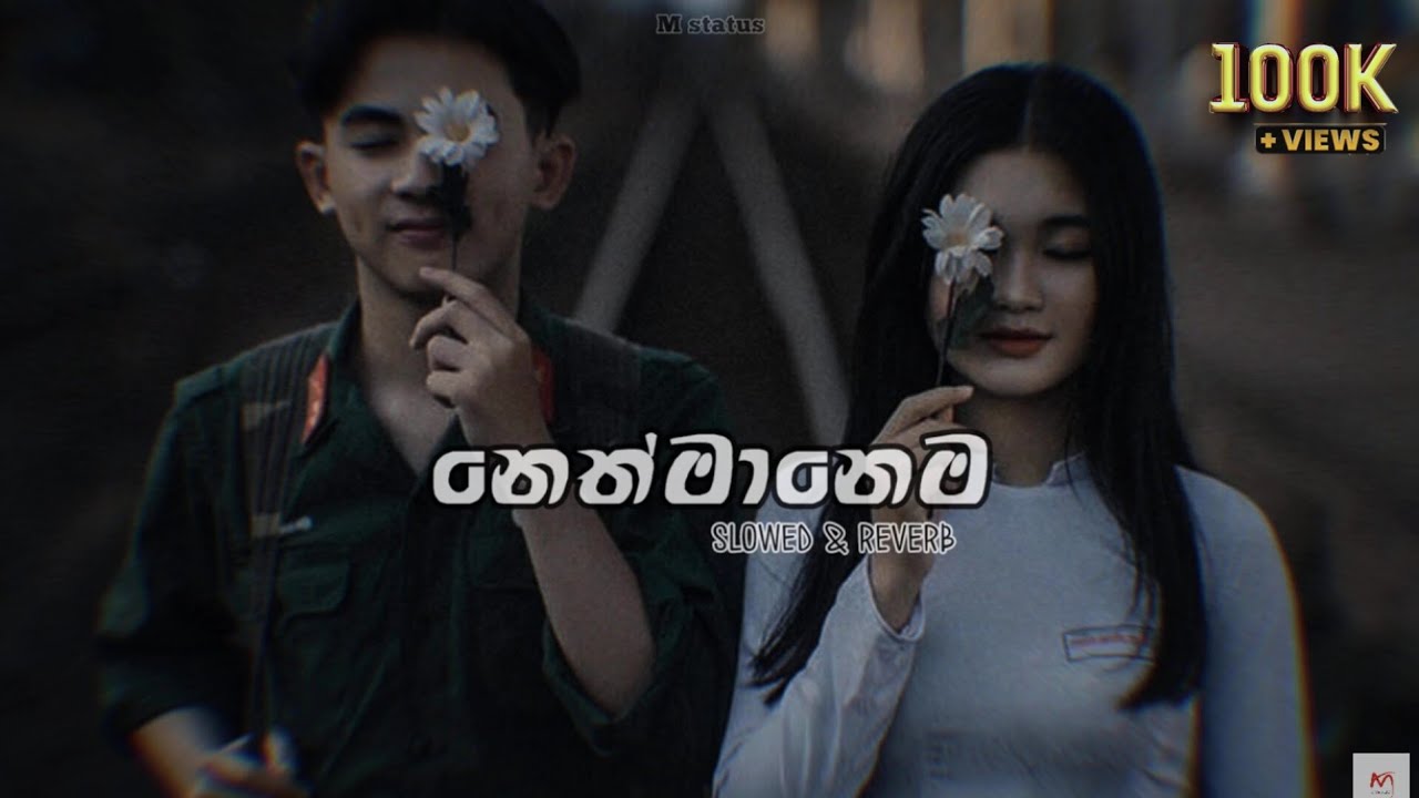 Neth Manema (නෙත් මානෙම)- 🖤🎶(Slowed+Reverb)+lyrics // M Status 