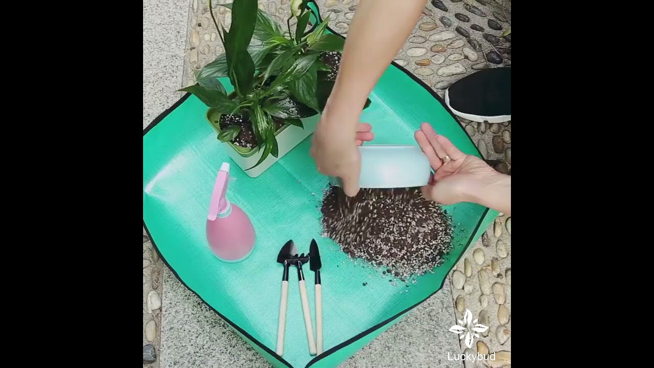 Plant Repotting Mat & Mini Indoor Gardening Tools Kit Review/ Gifts for Garden Lovers #shorts