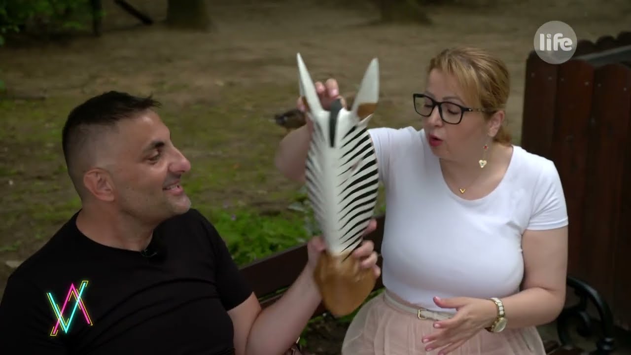 Győzike borzolja Bea idegeit, zebrát akar hazavinni. A végső kompromisszum jó lesz-e mindenkinek?