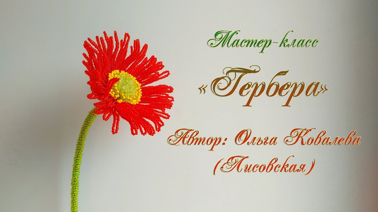 МК/ ГЕРБЕРА ИЗ БИСЕРА  /Мастер-класс Ольги Ковалевой-Лисовской  / Цветы из бисера/ Бисероплетение