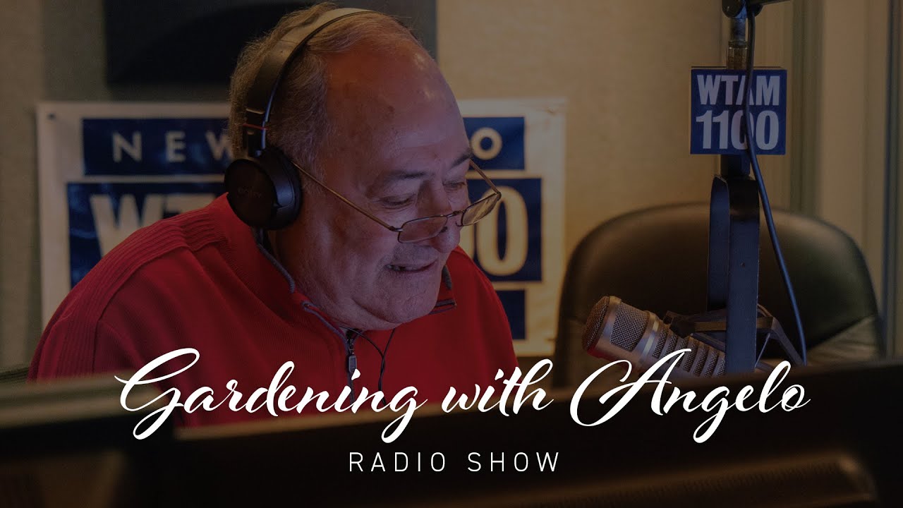 PETITTI | Gardening with Angelo Radio Show