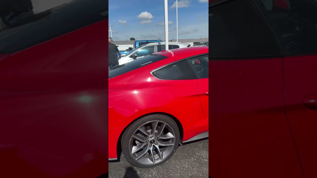 2015 Mustang GT Premium V8 6 speed 😍🔥 Walk around with Amanda Danger at Kia Seelye of Kalamazoo